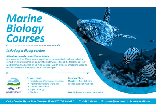 marine-biology-courses-including-diving-sessions-at-aquabiotech-group